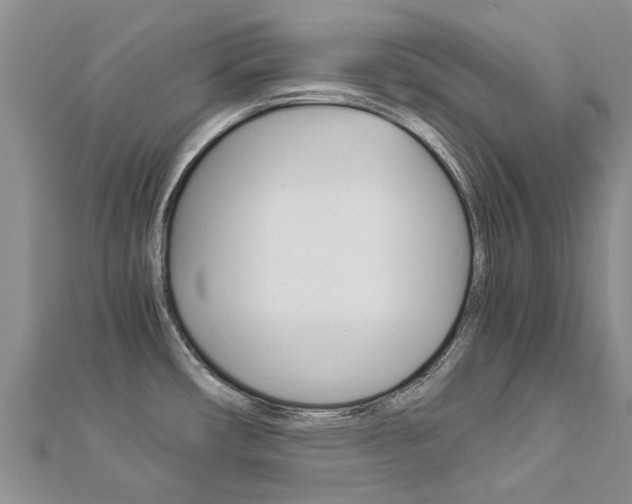 X0000112881482200908211041
