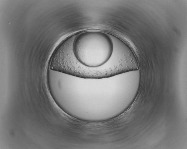X0000112881483200908211041