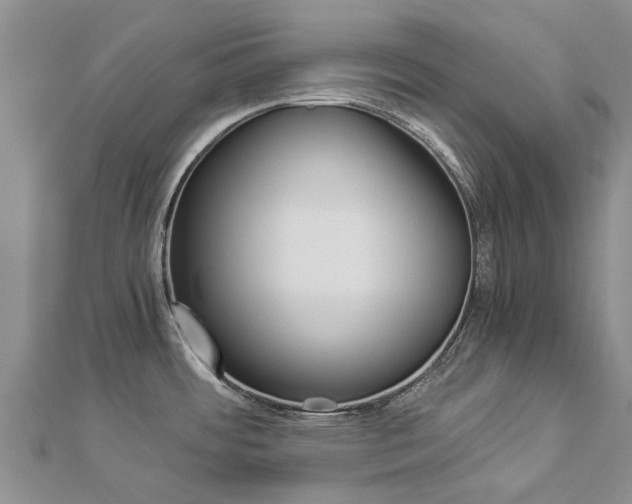 X0000112881484200908211041