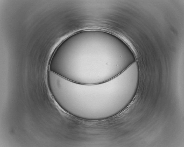 X0000112881485200908211041
