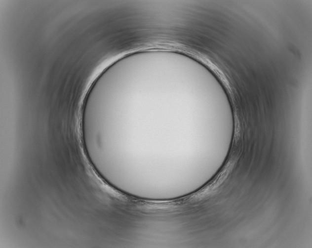 X0000112881486200908211041