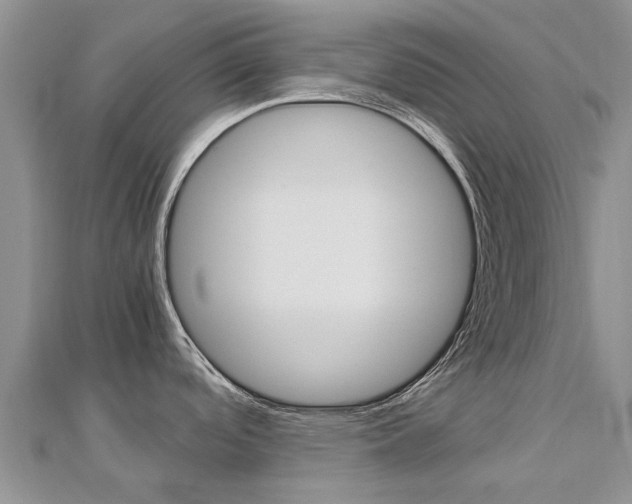 X0000112881488200908211040