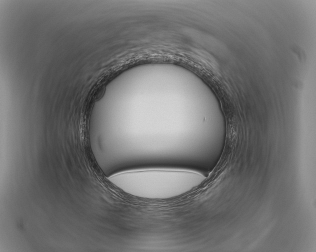 X0000112881490200908211040
