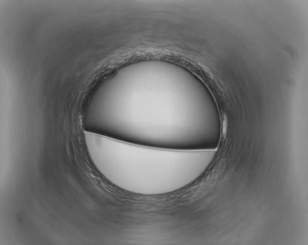 X0000112881492200908211040