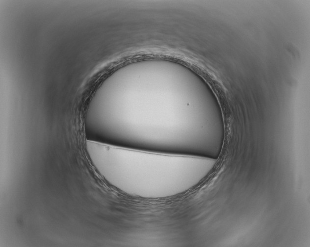 X0000112881494200908211040
