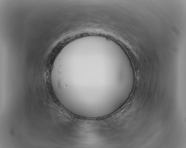 X0000112881495200908211040