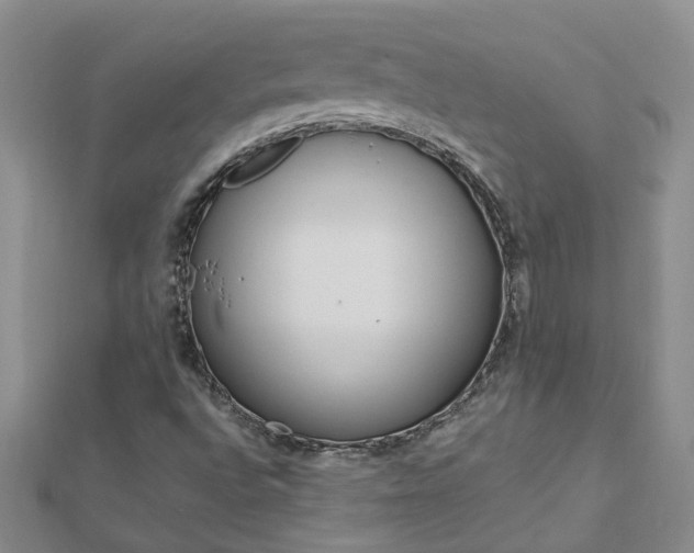 X0000112881496200908211040