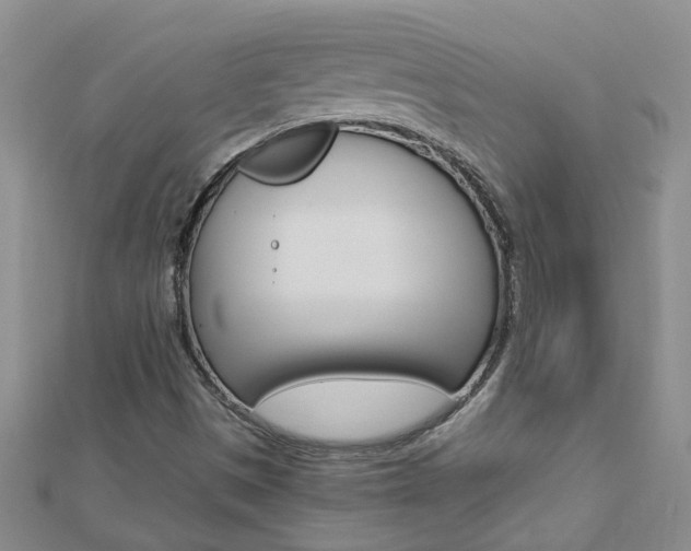 X0000112881497200908211040