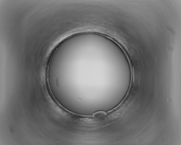 X0000112881500200908211040