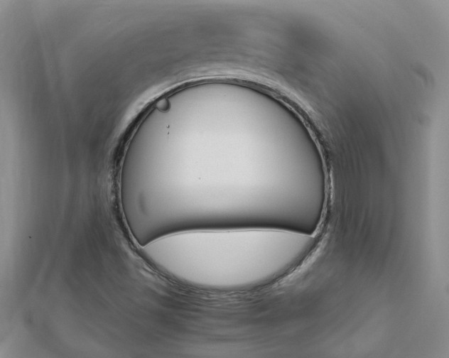 X0000112881501200908211040