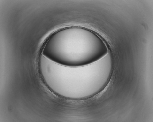 X0000112881502200908211040