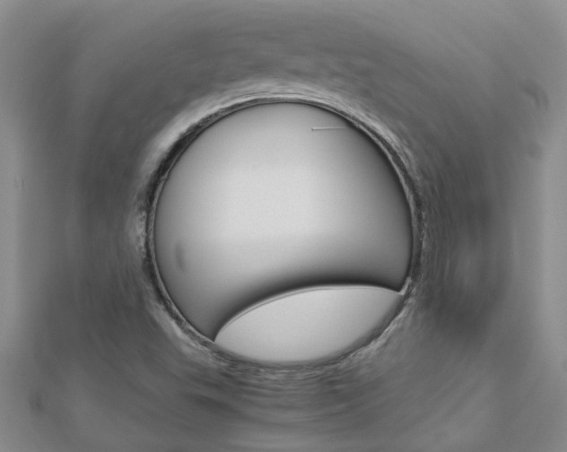 X0000112881503200908211040
