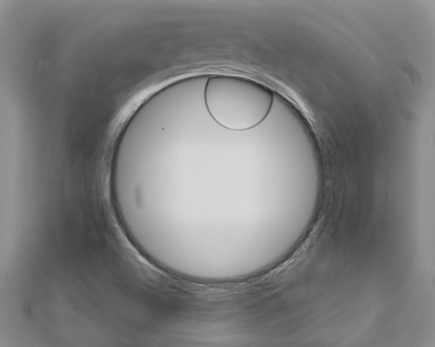 X0000112881504200908211040