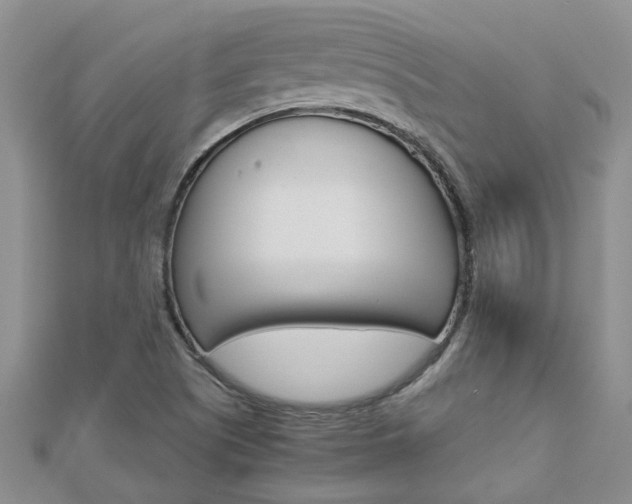 X0000112881505200908211040