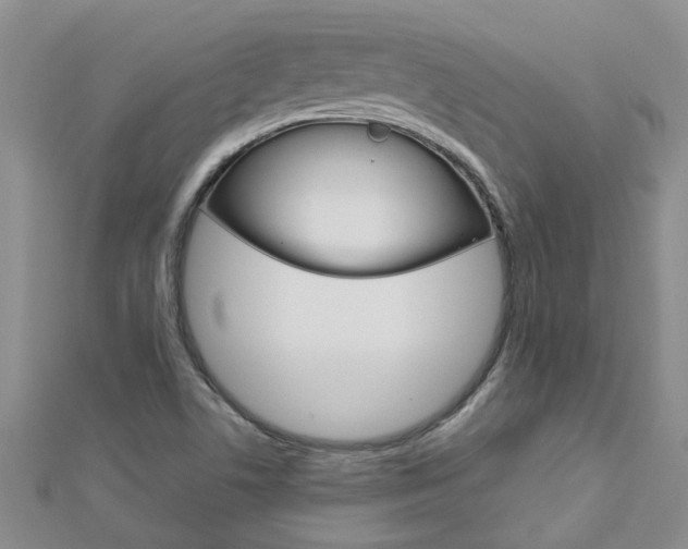 X0000112881506200908211040