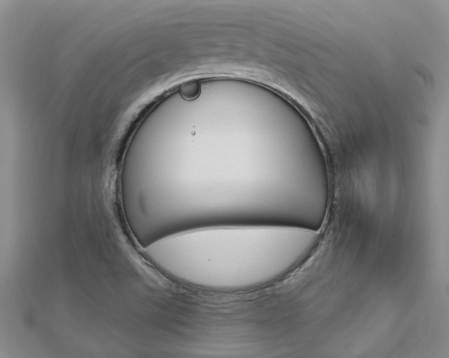 X0000112881507200908211040