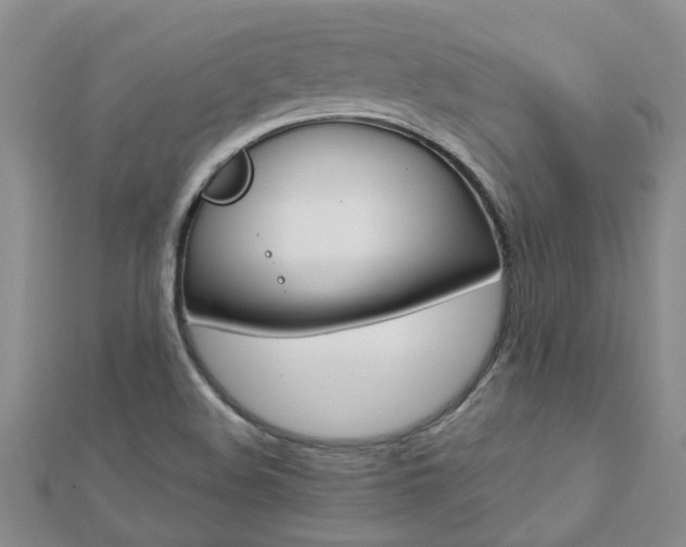 X0000112881508200908211040