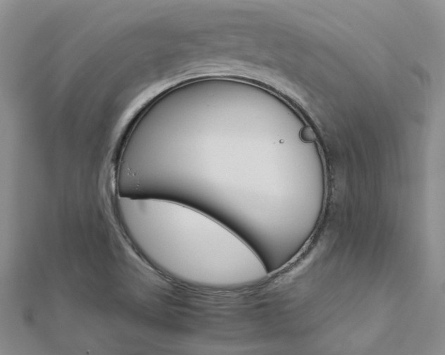 X0000112881509200908211040
