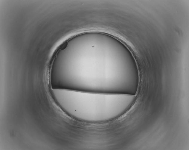 X0000112881510200908211040