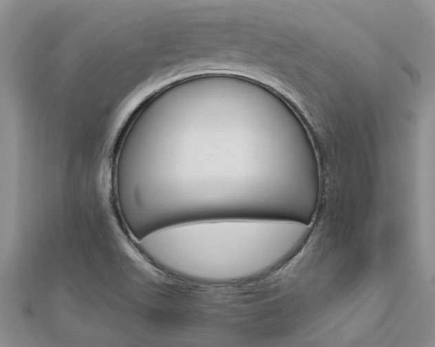 X0000112881511200908211040