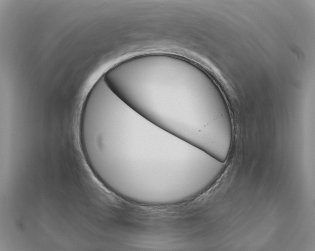 X0000112881512200908211040
