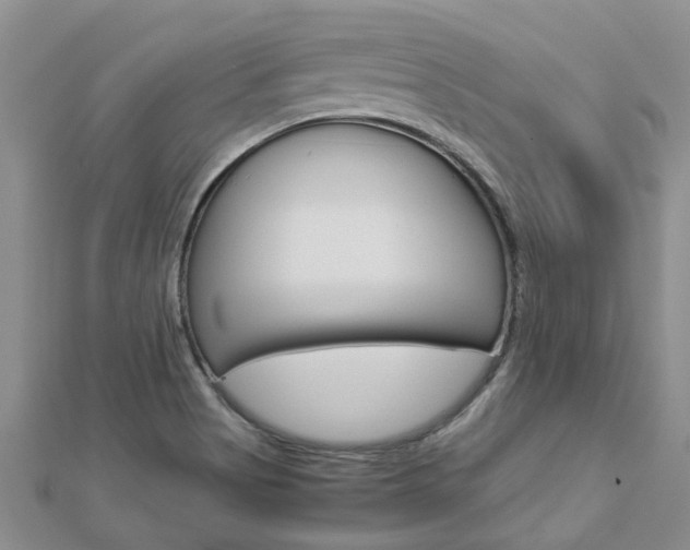 X0000112881513200908211040