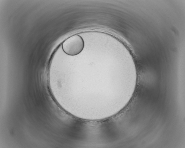 X0000112881514200908211040