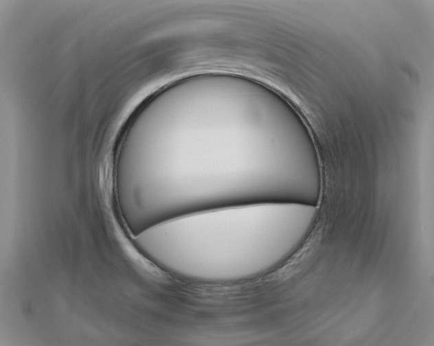 X0000112881515200908211040