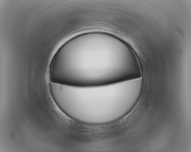 X0000112881516200908211040