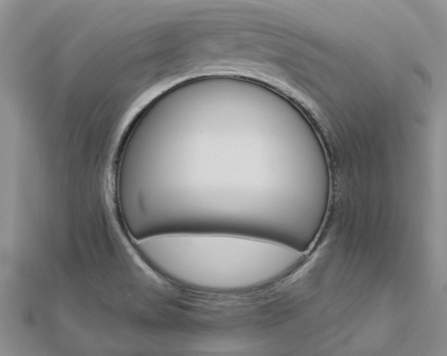 X0000112881517200908211040