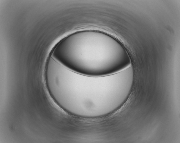 X0000112881518200908211040