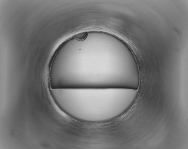 X0000112881519200908211040