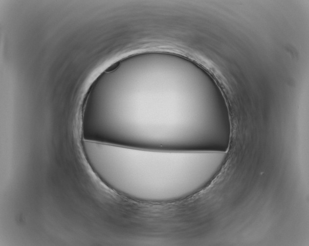 X0000112881520200908211040