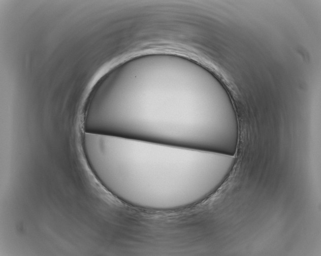 X0000112881522200908211040