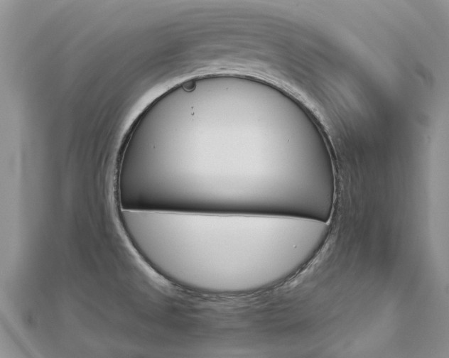 X0000112881525200908211040