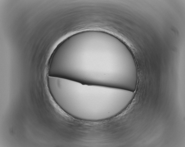 X0000112881526200908211040