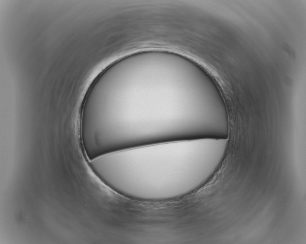 X0000112881527200908211040