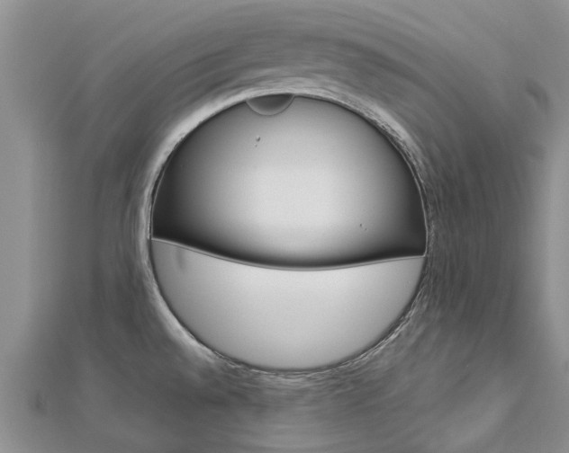 X0000112881528200908211040