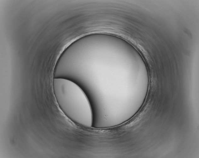 X0000112881529200908211040