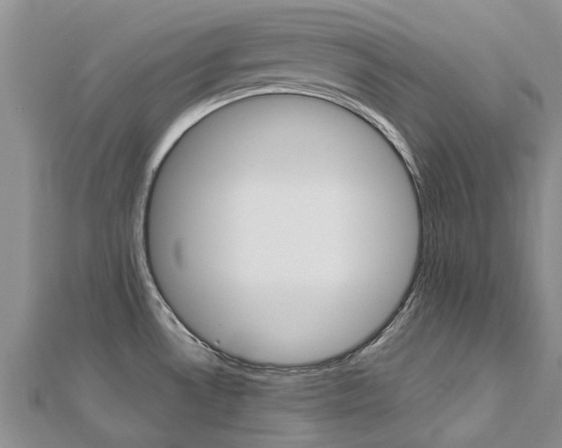 X0000112881530200908211040