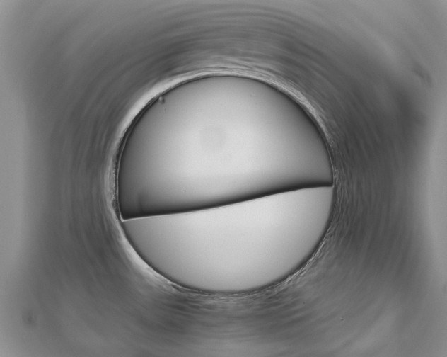 X0000112881531200908211040