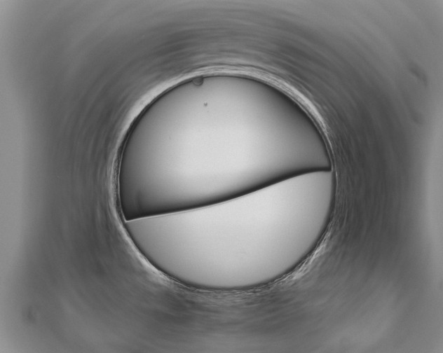 X0000112881533200908211040