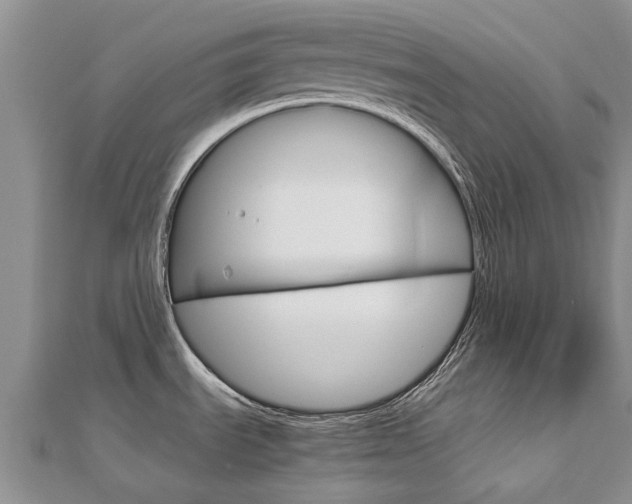 X0000112881535200908211040