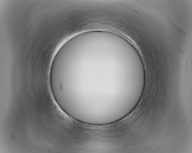 X0000112881536200908211040