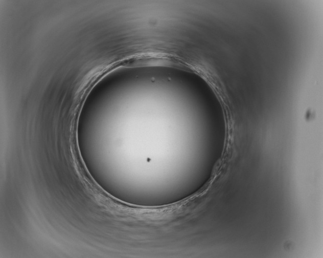 X0000112880001200908211503