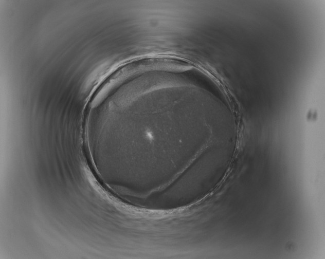 X0000112880002200908211503