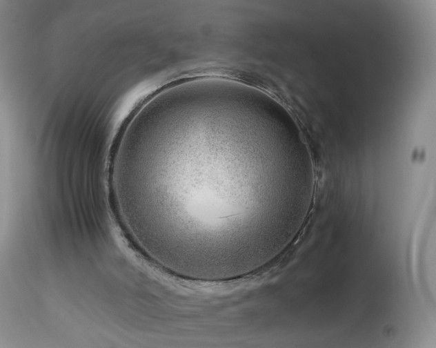 X0000112880006200908211502