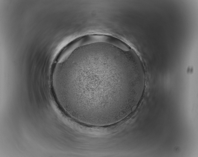 X0000112880008200908211502