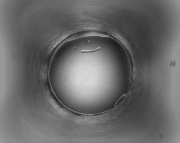 X0000112880009200908211502