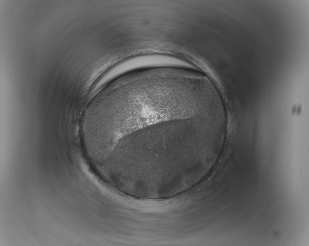 X0000112880010200908211502